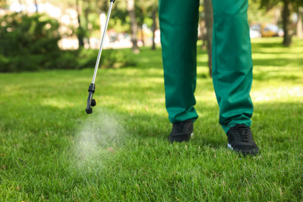 Best Insect Control  in Barnsdall, OK