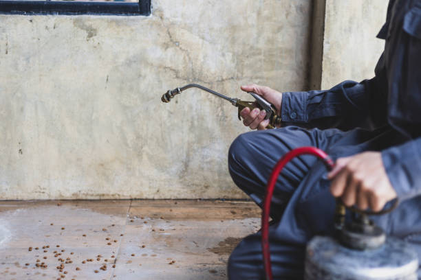 Best Mosquito Control Services  in Barnsdall, OK