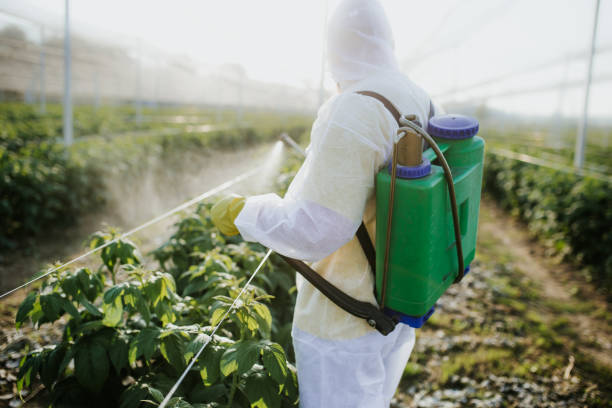 Pest Control Cost in Barnsdall, OK